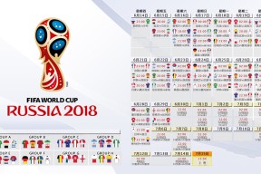 湖人队努力拼搏，力争进入季后赛，湖人队2022