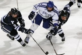 南非击败强敌，展现团队凝聚力，南非有多强